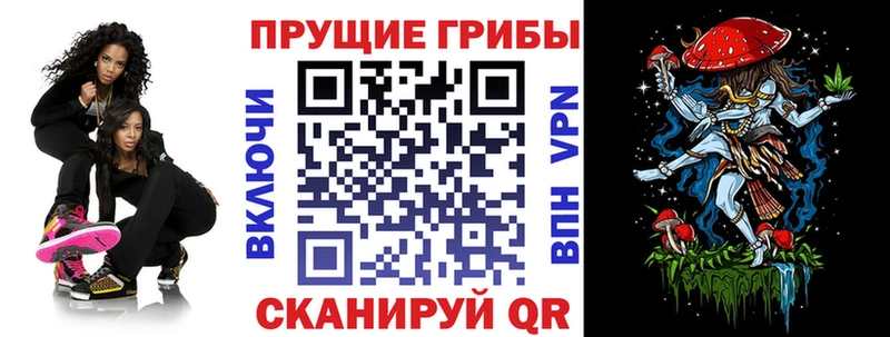 Купить закладки  Дзержинский  Псилоцибиновые грибы Magic Shrooms 